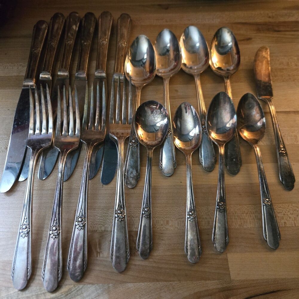 19 Piece Wm. Rogers Memory/Hiawatha Silverplate Flatware Set